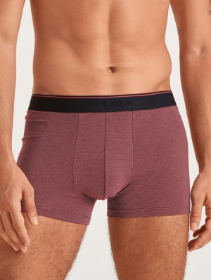 Men Calida Cotton Stretch Boxer Brief Underwear Mineral Red | 032478-BFY