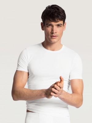 Men Calida Evolution T-shirt Underwear Weiss | 389042-QHR