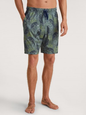 Men Calida Rmx Sleep Holiday Bermudas Sleepwear Laurel Green Print | 354816-RZC