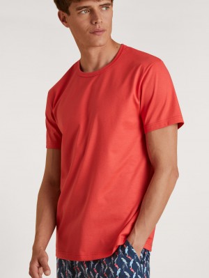 Men Calida Rmx Sleep Time Off T-shirt Sleepwear Cayenne Red | 736219-UQX