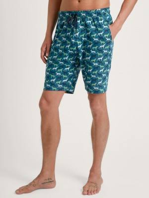 Men Calida Rmx Sleep Weekend Bermudas Sleepwear Stone Green | 037514-DPJ