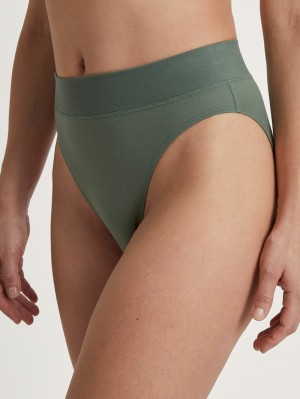 Women Calida Elastic Brief, High Waist Underwear Laurel Green | 461397-SVU