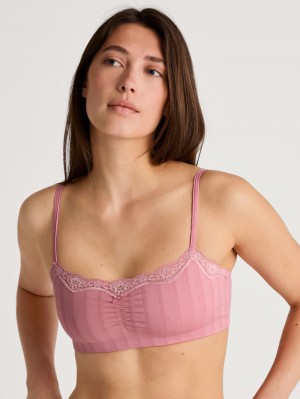 Women Calida Etude Toujours Bustier Underwear Blush Flower | 027951-RXC