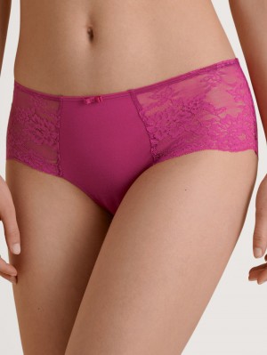 Women Calida Modal Sense Panty Underwear Orchid Flower | 710539-UJF