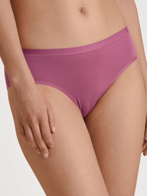 Women Calida Natural Comfort Brief Underwear Red Violet | 835972-IXG