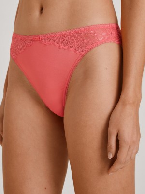 Women Calida Sensual Secrets Brief Underwear Porcelain Rose | 840153-WDR