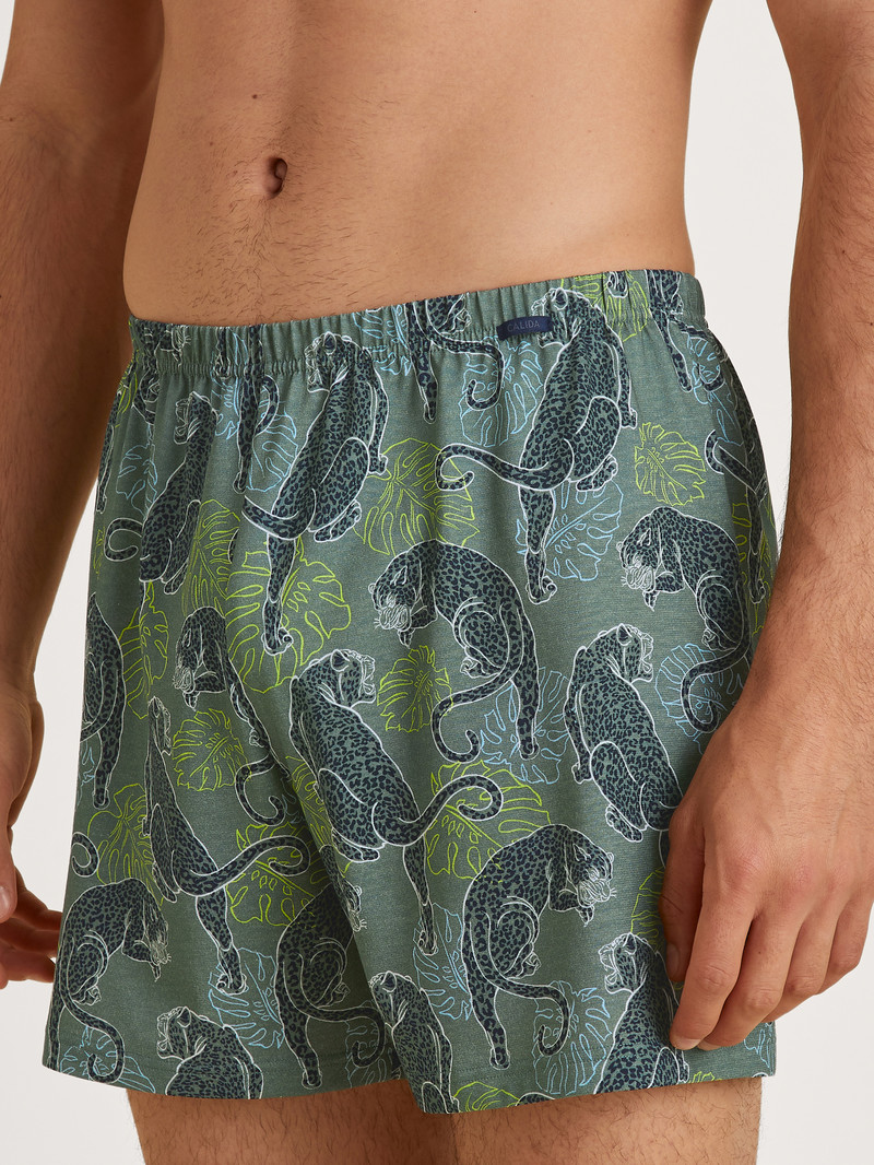 Men Calida Prints Boxer Shorts Underwear Laurel Green Print | 728051-CXN