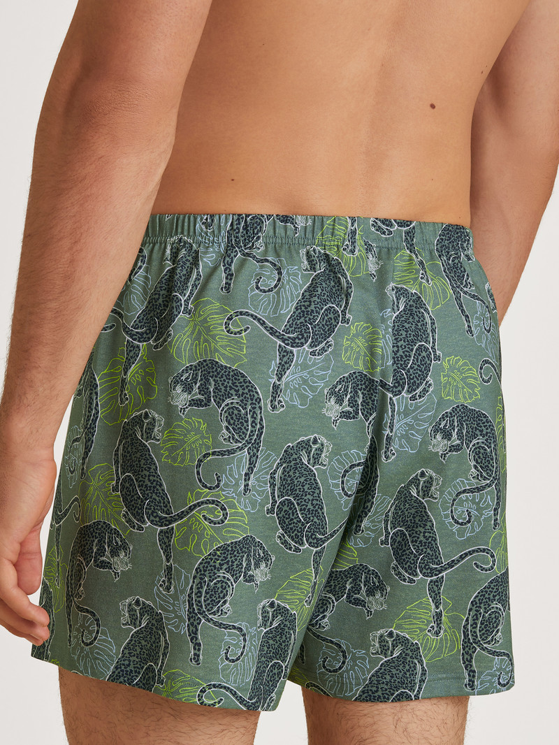 Men Calida Prints Boxer Shorts Underwear Laurel Green Print | 728051-CXN