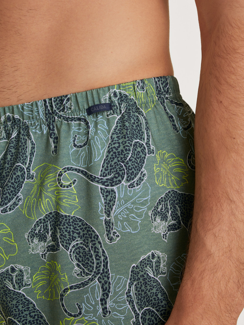 Men Calida Prints Boxer Shorts Underwear Laurel Green Print | 728051-CXN