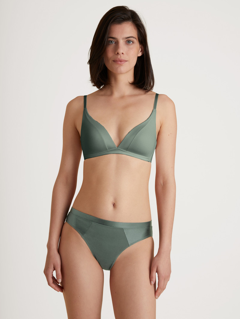 Women Calida Cate Brief Underwear Laurel Green | 835607-VJK